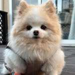 Waymon Jackson - @six2squid - Instagram