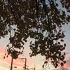 WayneAbel_k - @wayneabel_k - TikTok