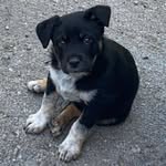 Wayne Akers - @wayneakers8 - Instagram