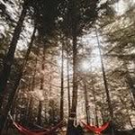 K - @wayne_almond - Instagram