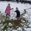 Katietraynor - @wayneallister - TikTok