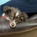 Wayne Ames - Facebook
