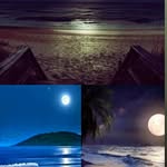 @wayneandrade55 - Instagram