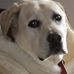 Wayne Armitage - Facebook