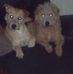 Wayne Armitage - Facebook