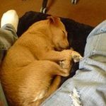 Wayne Armitage - @wayne.armitage - Instagram