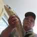 Wayne Arsenault - Facebook