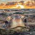 Wayne Ashby - Facebook