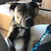 Wayne Asher - Facebook