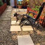 Wayne Asher - @wayne_asher - Instagram