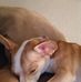 Wayne Ausley - Facebook