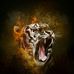 Wano Bade - Facebook