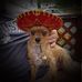 Wayne Balcom - Facebook