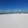 Wayne ball245 - @wayne.ball245 - TikTok