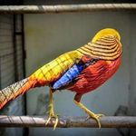 Wayne Barron - @wayne.barron.58323 - Instagram