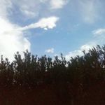 LamarDi Wayne Battle - @lamardiwayne - Instagram