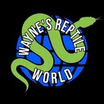 Wayne Beasley - Reptile hobbyist - @waynes_reptile_world - Instagram