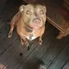 waynebeasley59 - @waynebeasley59 - TikTok