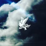 Connor Wayne Becker - @connor_scxlly - Instagram