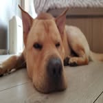 Wayne Beckett - @beckettwayne - Instagram