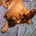 Wayne W. Beebe - Facebook