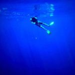 Waynebee Ng - @waynebeebee - Instagram