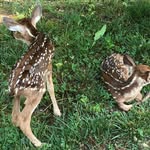 Wayne Beeler - @waynebeeler63 - Instagram