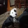 Wayne Behncke - @wayne.behncke - TikTok