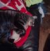 Wayne Belden - Facebook