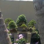 Wayne Bessa - @waynebessa - Instagram
