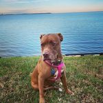 Wayne Bessling Jr. - @wayne_bessling - Instagram