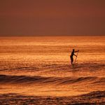 Wayne Best - @wiredbest - Instagram