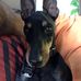 Wayne Bevan - Facebook