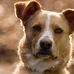 Wayne Bevan - Facebook