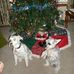 Wayne Bieberich - Facebook