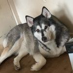 Wayne Bingham - @wayne.bingham.336 - Instagram