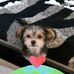 Wayne Bingham - Facebook