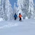 Wayne Bingham - @heliskiman - Instagram