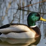 patrick wayne binkley - @patrick.w.b.14 - Instagram