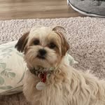 Wayne Birch - @birch2301 - Instagram