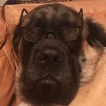 Justin Wayne Blocker - @justin.w.blocker - Instagram