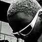 bobo wayne - @bobo.wayne - TikTok