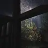 bobowayne_ - @bobowayne_ - TikTok