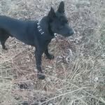 DeWayne Boehm - @dewayneboehm55 - Instagram
