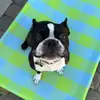 lil_wayne_the_boston - @lil_wayne_the_bos - TikTok