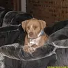 Wayne Bowker - @wayne.bowker14 - TikTok
