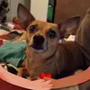 Wayne Bowman - @wayne.bowman90 - TikTok