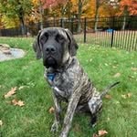 Wayne Boyle - @wayneboyle616 - Instagram