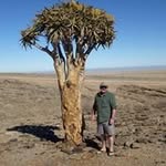 Wayne Boyle - @wayne.boyle.399 - Instagram