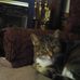 Wayne Braswell - Facebook